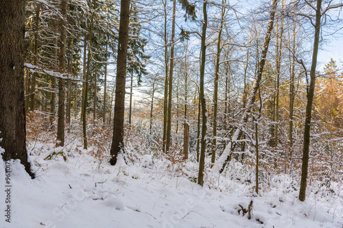 Winterlandschaft im Harz bei Stolberg