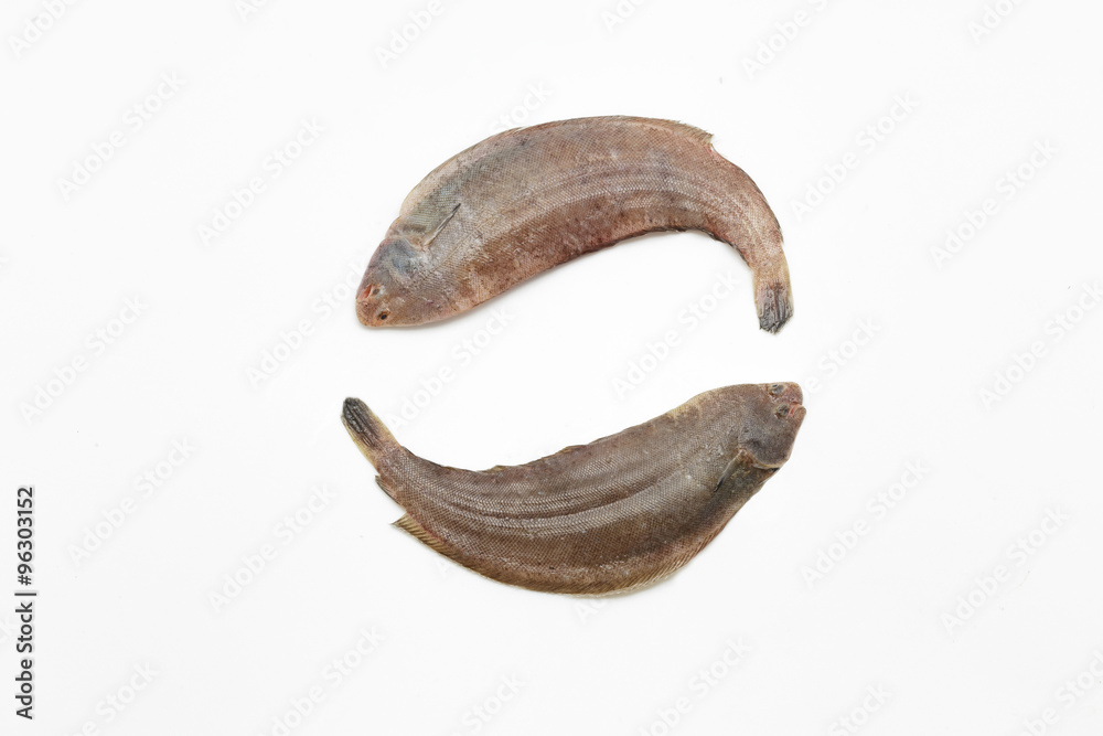 Two raw sole fishes on white background Two raw sole fishes on white background