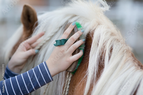 Obraz na płótnie Girl grooming horse