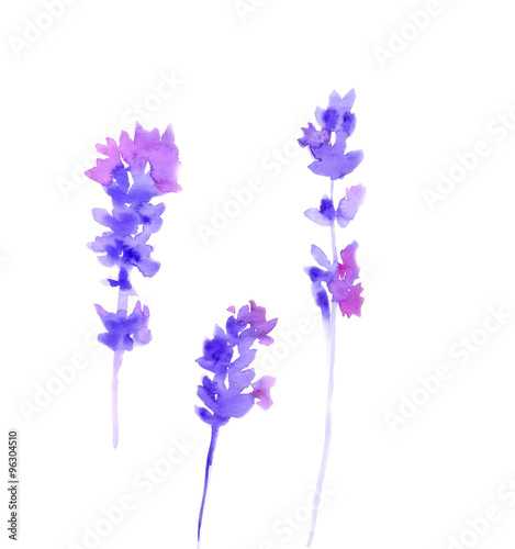 Fototapeta Naklejka Na Ścianę i Meble -  Watercolor lavender set