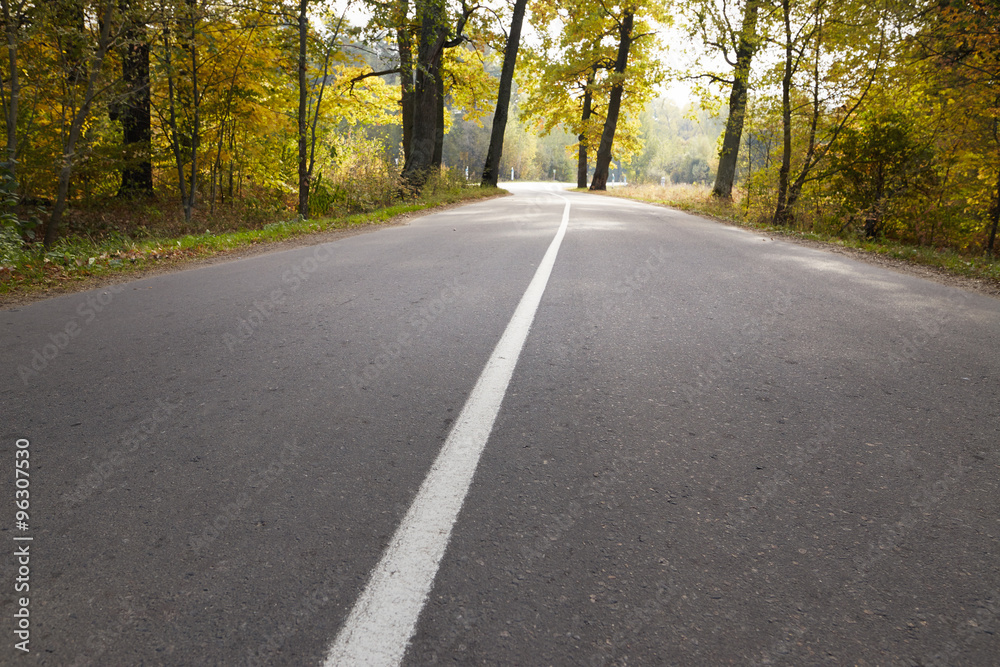 Fototapeta premium a sharp turn on a forest road