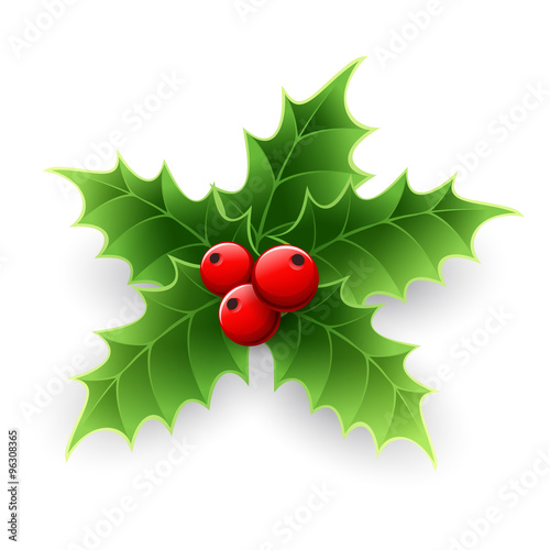Christmas Holly Berry. 