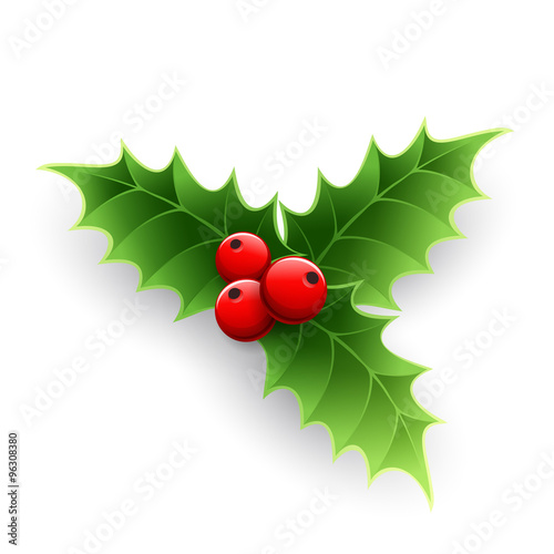 Christmas Holly Berry. 