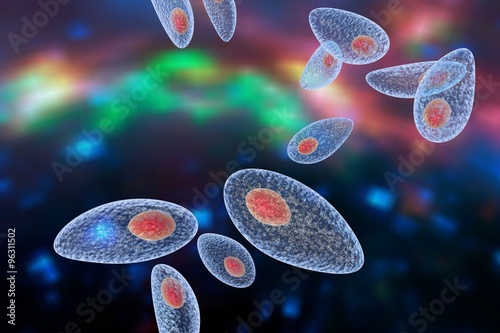 Tableau sur toile Toxoplasma gondii on colorful background