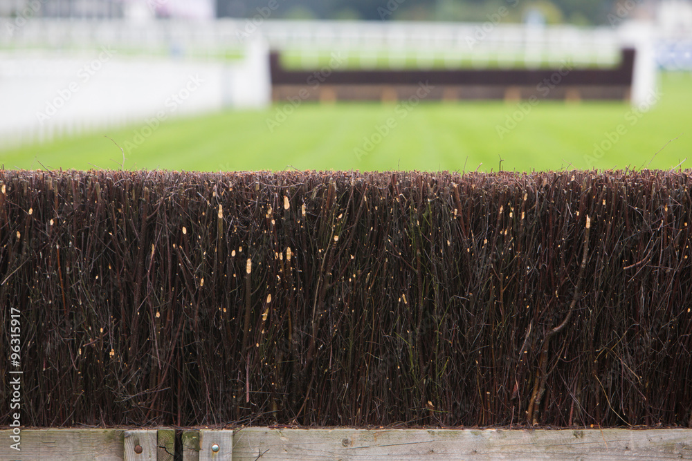 Fototapeta premium Fence On Horse Racing Track