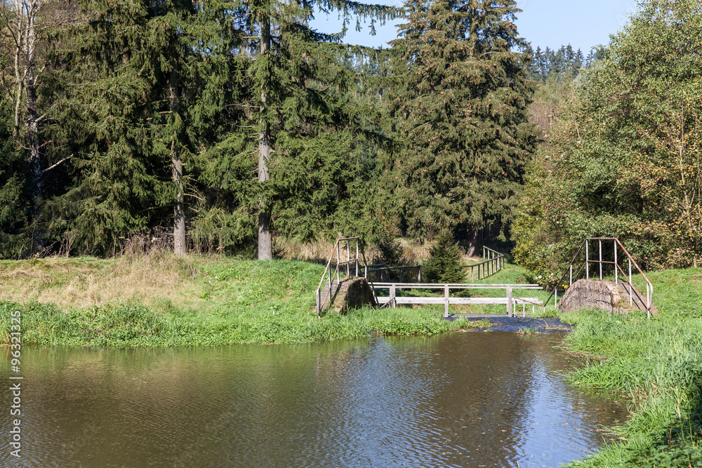 Teich am Selketalstieg harz