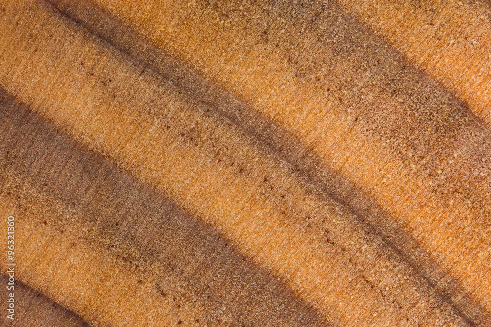 macro pattern Texture of wood background macro pattern Texture of wood background