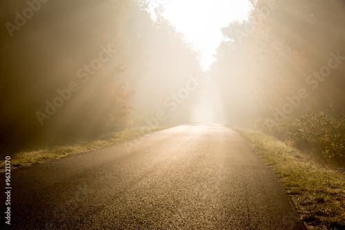 Beam of sun light comming though trees on empty road