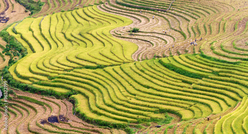 Rice fields on terraced of Ha Giang, Vietnam. Rice fields prepare the harvest at Northwest Vietnam © sonha