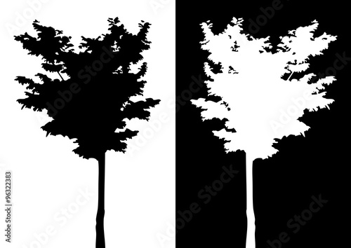 Tree vector silhouette