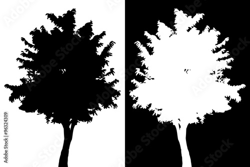 Tree vector silhouette