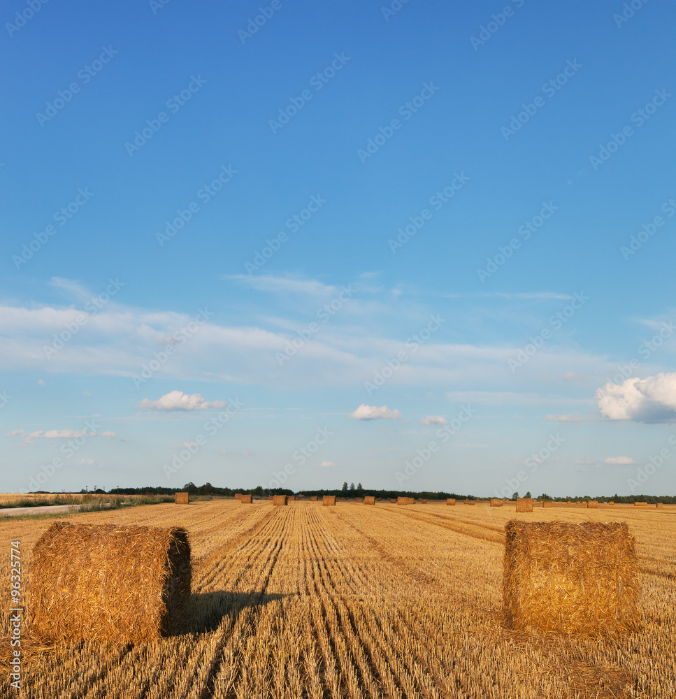 Field with straw bales.