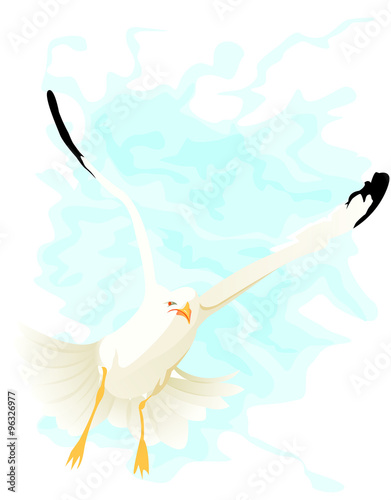Mouette volant dans le vent