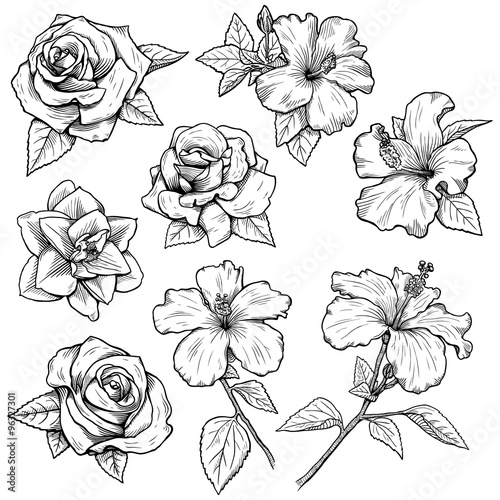 various flowers inked in BW