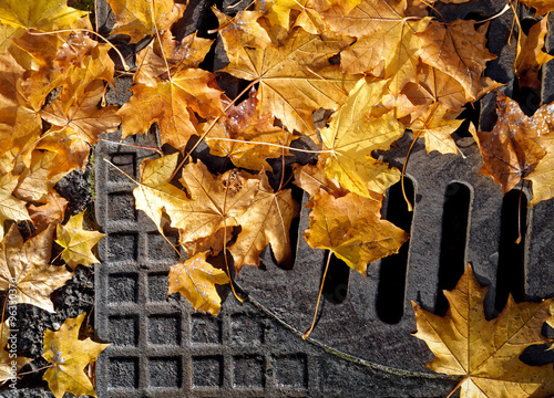 Autumn leaves on manhole