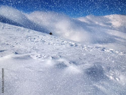 Beautiful winter landscape with falling snow. © igorp1976