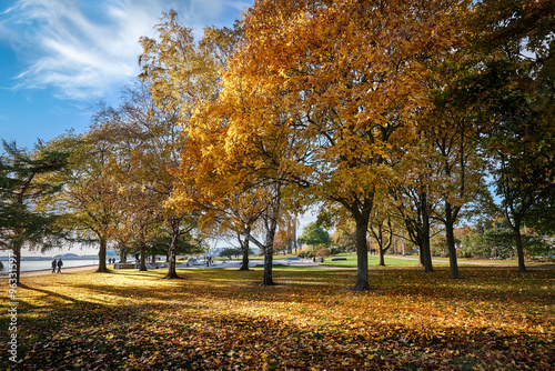 Obraz na płótnie Autumn day in park w salonie