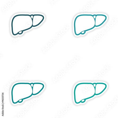 Set of paper stickers on white background human liver