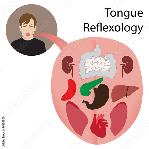 vector illustration of tongue reflexology chart. reflex zones on your tongue