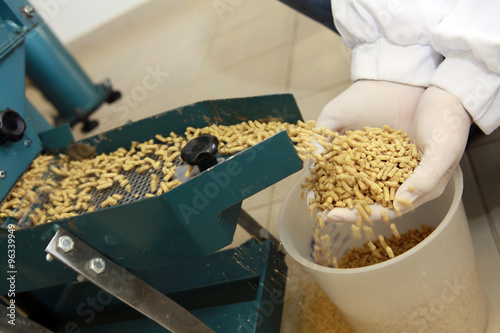 Fototapeta Naklejka Na Ścianę i Meble -  animal feed