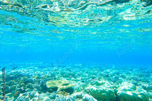 Tranquil underwater