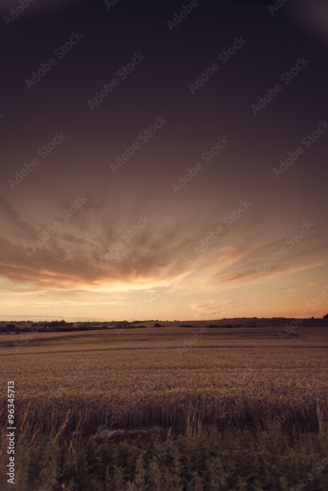 Beautiful sunset over summer field