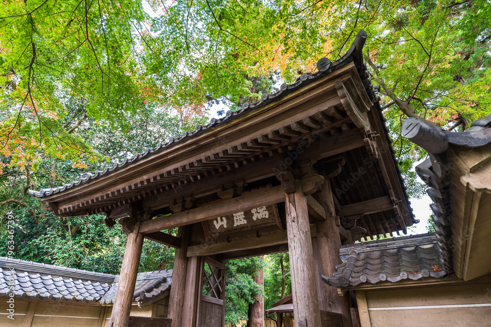 秋の鎌倉　円覚寺　総門