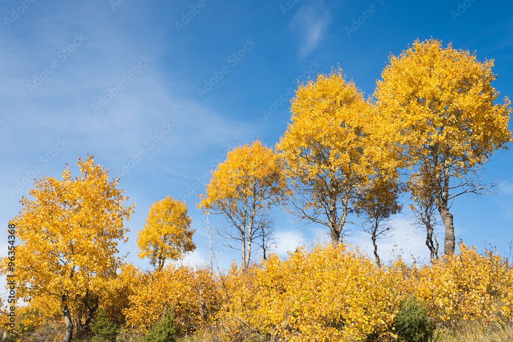 Autumn landscape in mountains Autumn landscape in mountains
