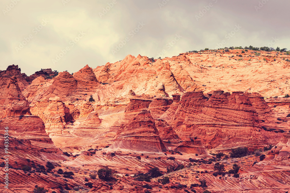 Coyote Buttes