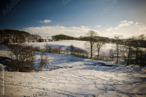 Snowy Xmas Landscape © Ian Schofield