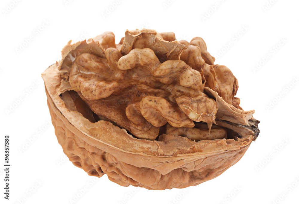 Walnut fruit on white Walnut fruit on white