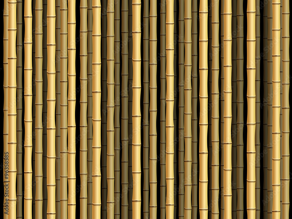 Fototapeta premium Bamboo background