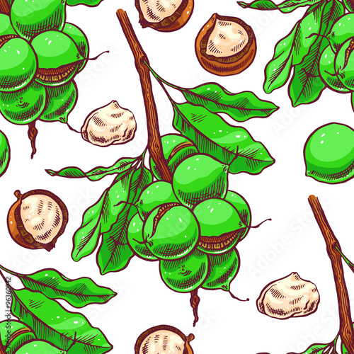 seamless macadamia branches