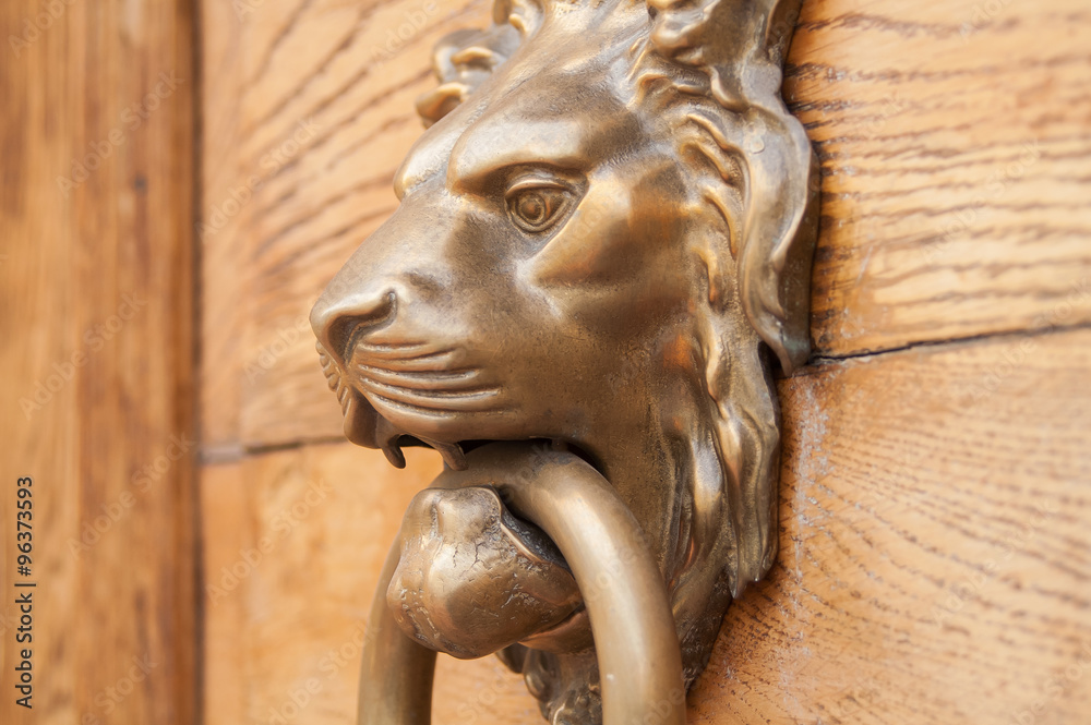 Lion handle door