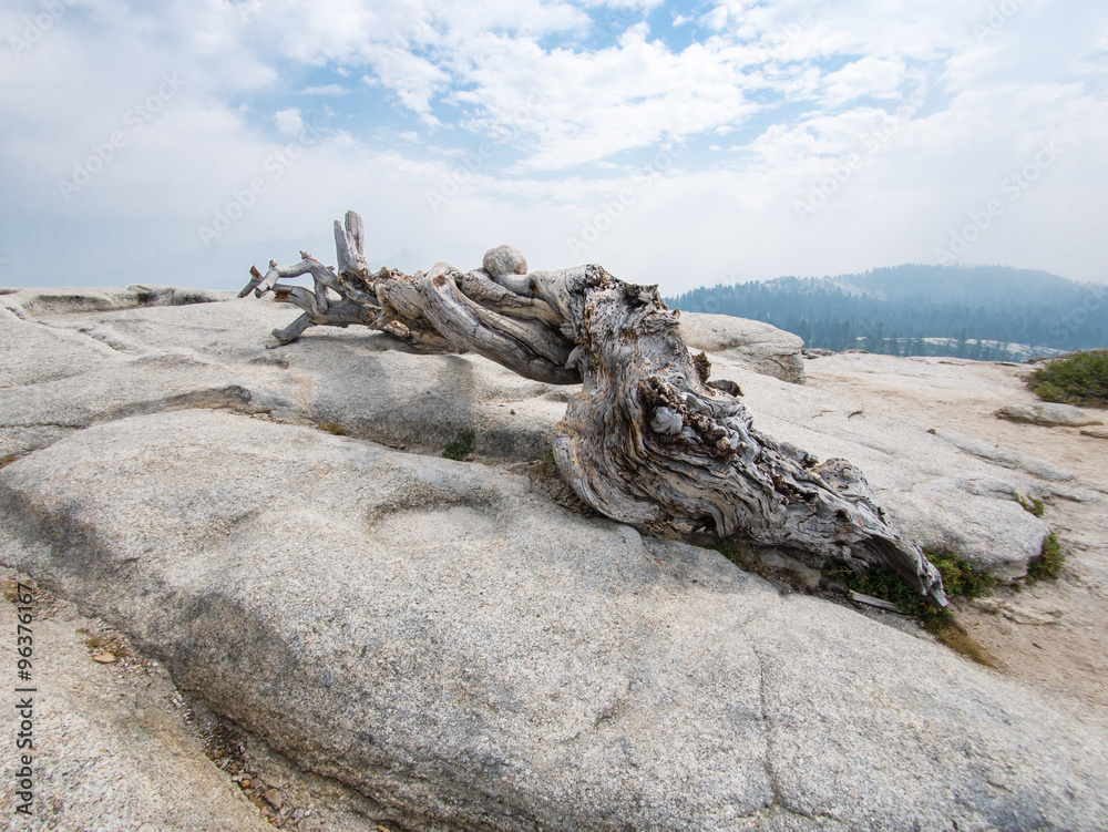 Yosemite