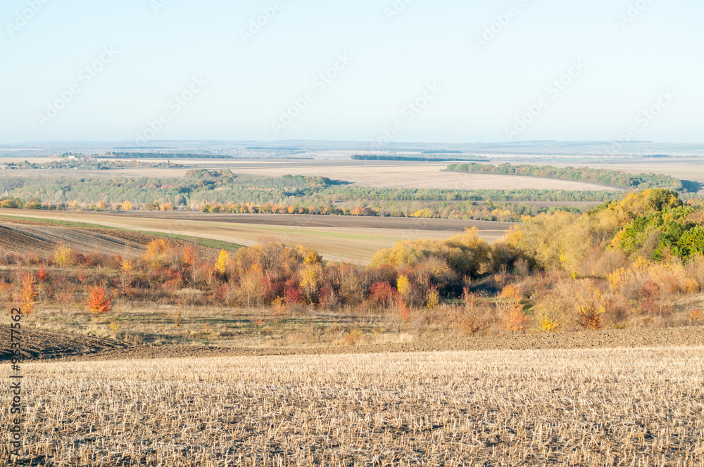 Hilly autumn field