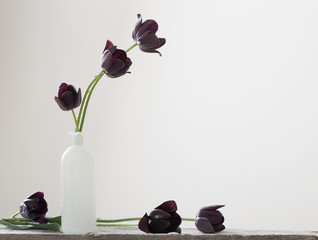 dark tulips in vase