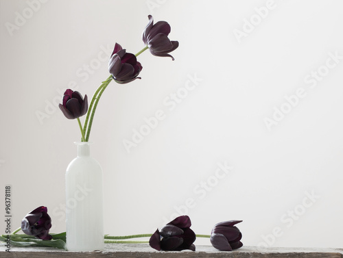 dark tulips in vase #96378118
