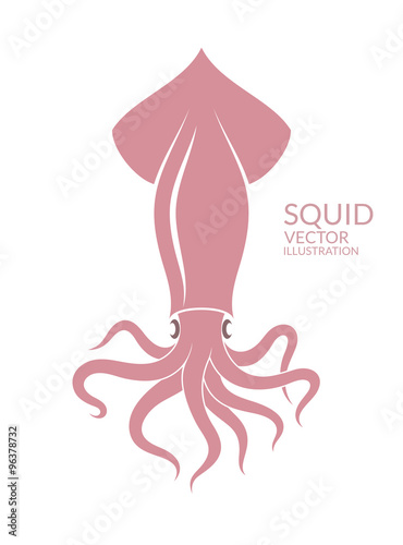 Squid