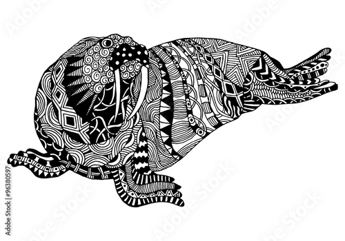Vector Zentangle Walrus