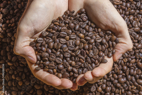 Cupped hands holding handful of roasted coffee beans