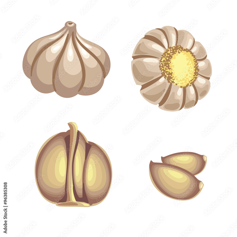 Fototapeta premium Set of garlic isolated on white background