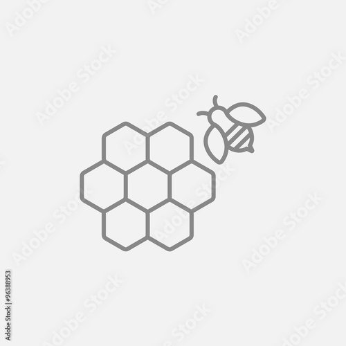 Honeycomb and bee line icon.