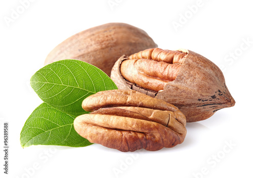 Pecan with leaves