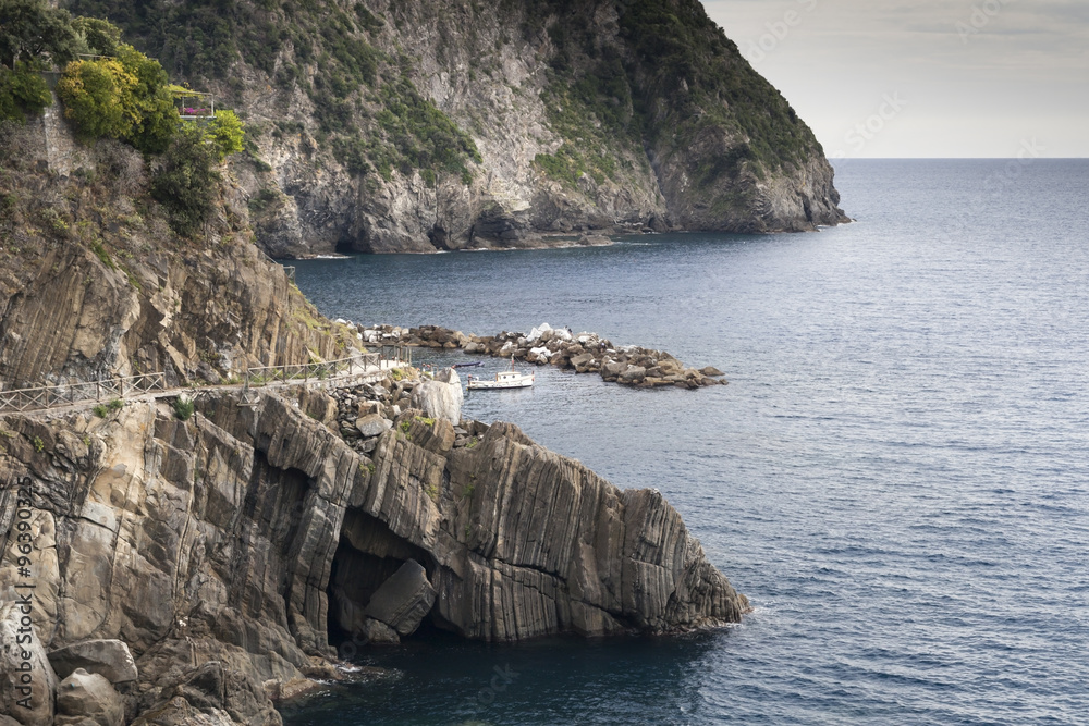 Fototapeta premium Pathway