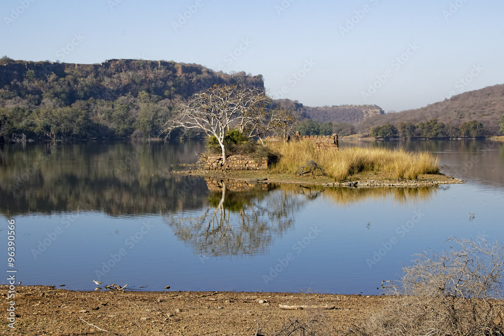The ruins of a building stand on an island in the still waters of Padma Lake, Ranthambore, India.