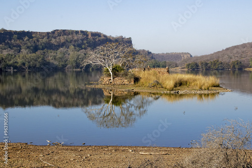 The ruins of a building stand on an island in the still waters of Padma Lake, Ranthambore, India.