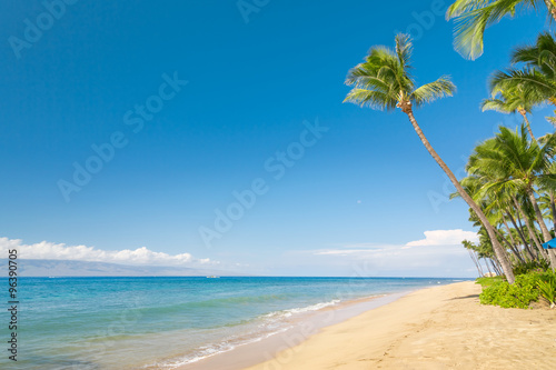 Słoneczna tropikalna plaża z palmami