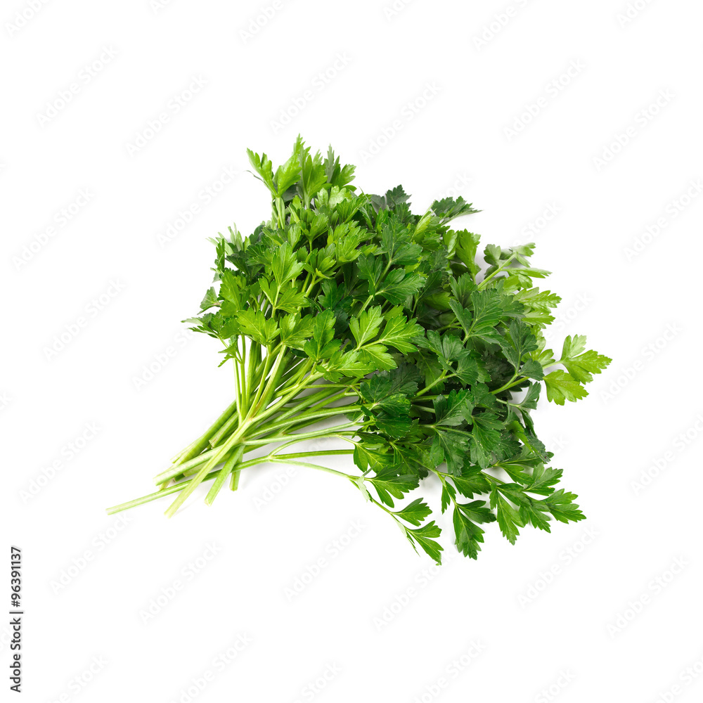 Parsley Bundle On White Background Parsley Bundle On White Background