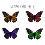 Set of realistic monarch butterflies in different colors.